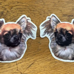 Dekaler Chihuahua långhårig 2-pack