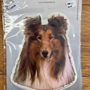 Dekaler Collie långhårig 2-pack