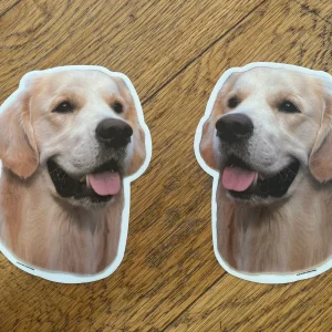 Dekaler Golden Retriever 2-pack