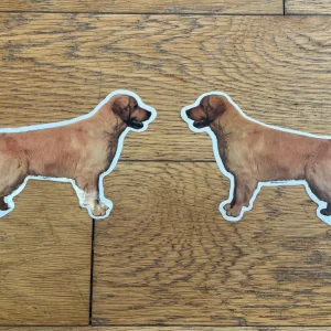 Dekaler Golden Retriever helkropp 2-pack