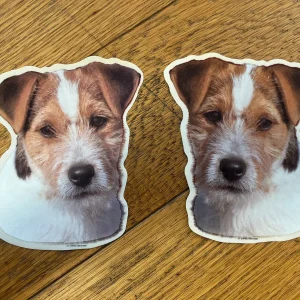 Dekaler Jack Russell terrier strävhårig 2-pack