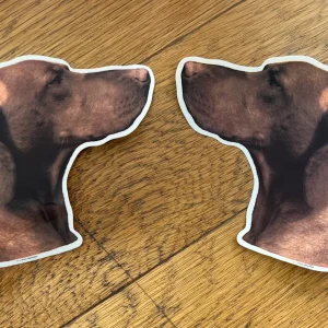Dekaler Korthårig Ungersk vizsla 2-pack