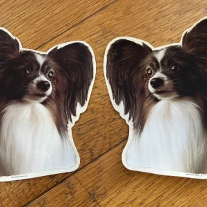 Dekaler Papillon 2-pack