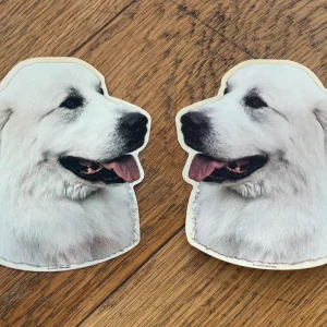 Dekaler Pyreneerhund 2-pack