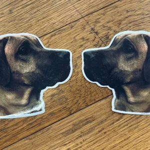 Dekaler Rhodesian ridgeback 2-pack