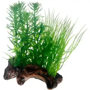 Dekor Flora Root 2 S 17cm Beställ nu