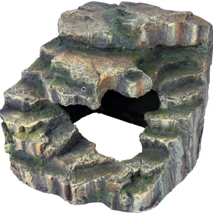 Dekor Rainforest 19