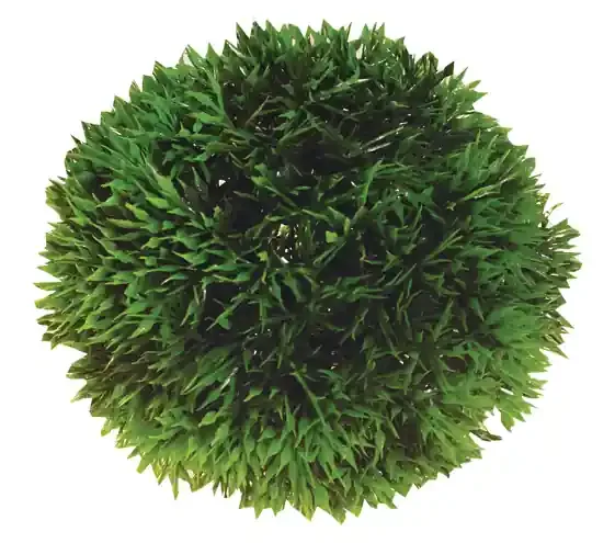Dekorväxt Plant Ball 9cm Bästa pris