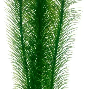 Dekorv盲xt Mayaca 25cm