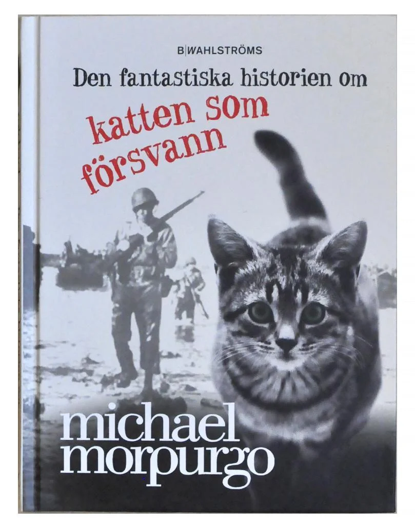 Den fantastiska historien om katten som försvann