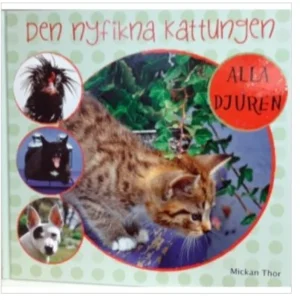 Den nyfikna kattungen