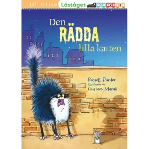 Den rädda lilla katten
