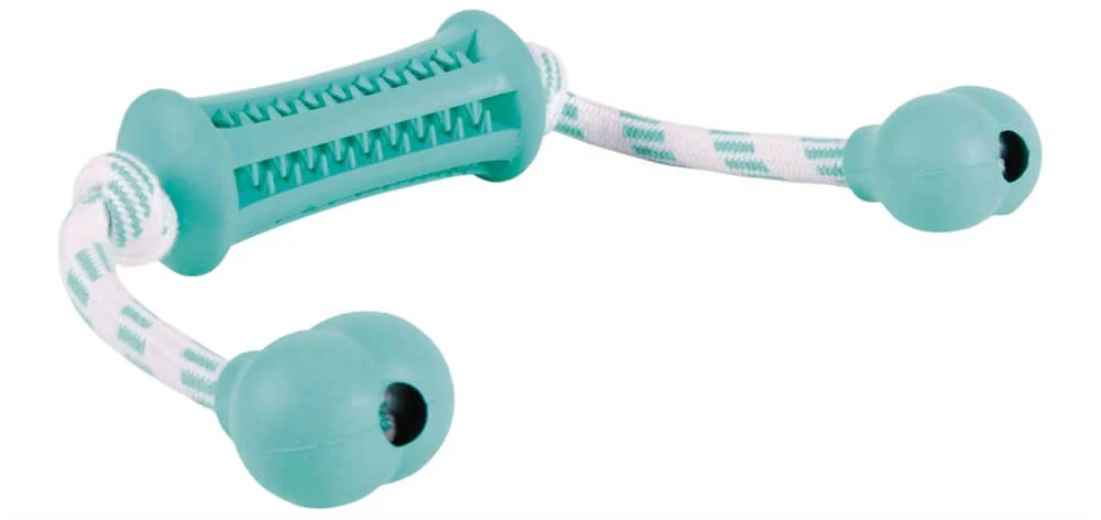 DentaFun Mint Rulle med Rep 9 cm/37 cm