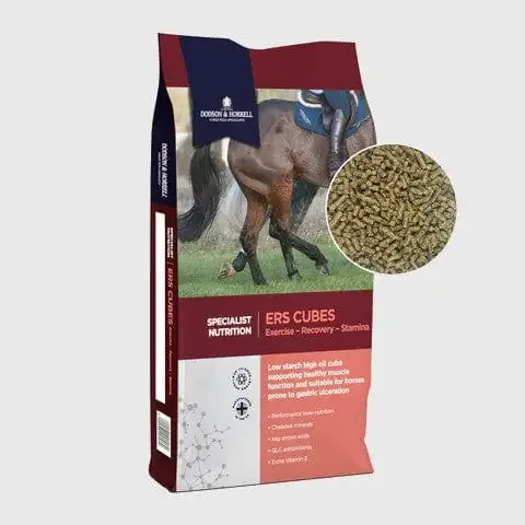 D&H ERS Cubes 20 kg