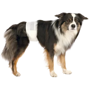 Diapers for Male Dogs Disposable