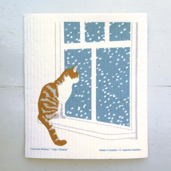 Disktrasa, Katten sitter i fönstret och tittar på snön