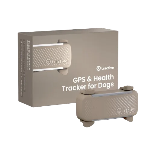 DOG 6 GPS f枚r Hund Brun