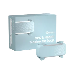 DOG 6 GPS f枚r Hund Mint