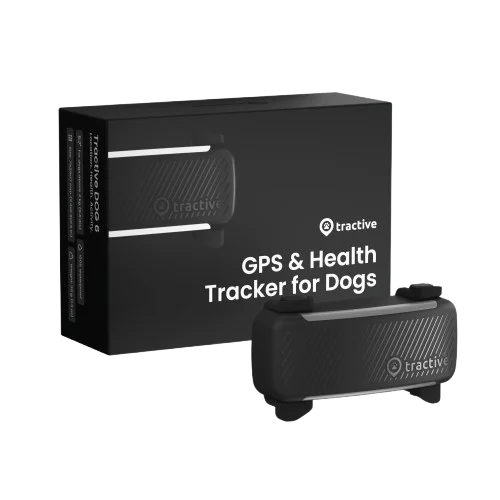 DOG 6 GPS f枚r Hund Svart