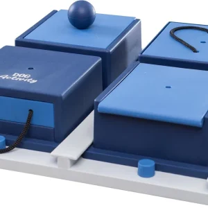 Dog Activity Poker Box 1