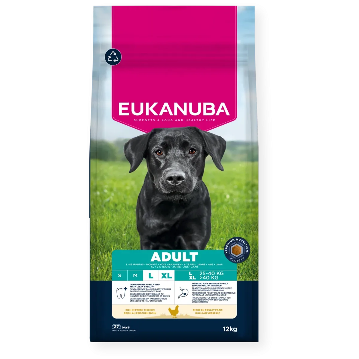 Dog Adult Large Breed Kyckling