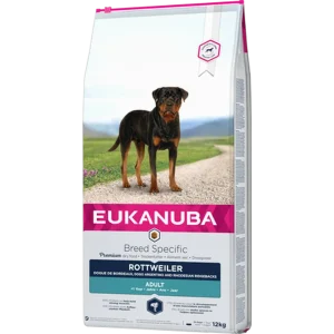 Dog Breed Rottweiler