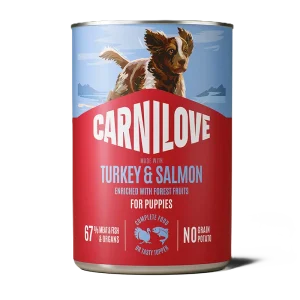 Dog Can Pat茅 Salmon & Turkey for Puppies