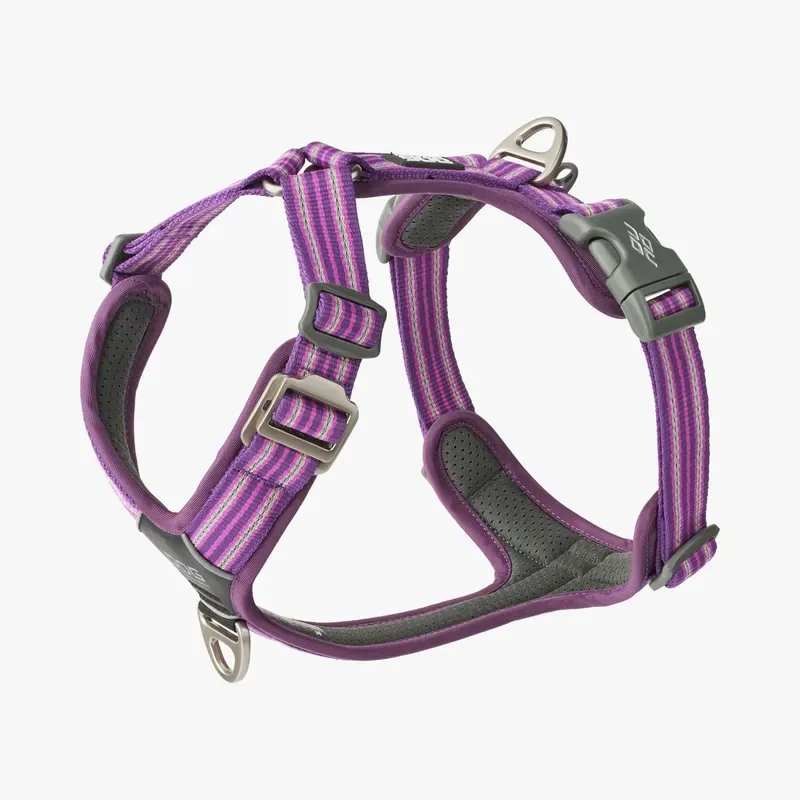 Dog Copenhagen Comfort Walk Air Purple Passion Begränsad tid