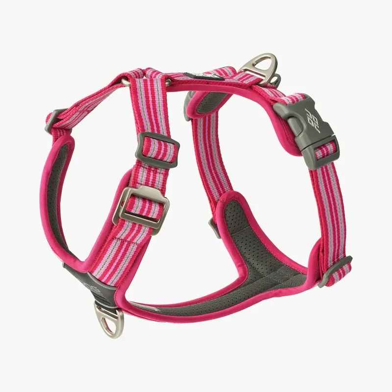 Dog Copenhagen Comfort Walk Air Wild Rose Endast idag