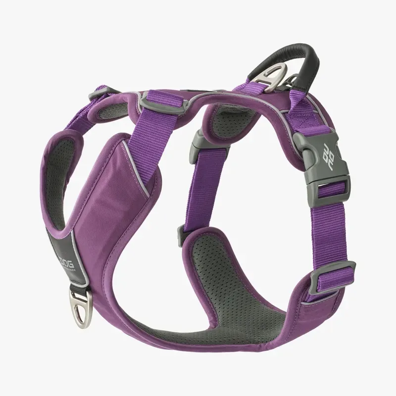 Dog Copenhagen Comfort Walk Pro Purple Passion Beställ idag