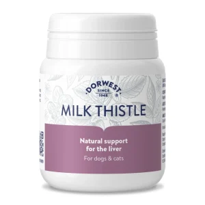 Dorwest Milk Thistle (Mariatistel) tablett till hund och katt -100 tab / 200 tab