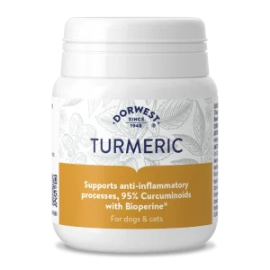 Dorwest Turmeric (Gurkmeja) – Högkvalitativt tillskott för leder och naturlig antiinflammation till hund & katt tabletter