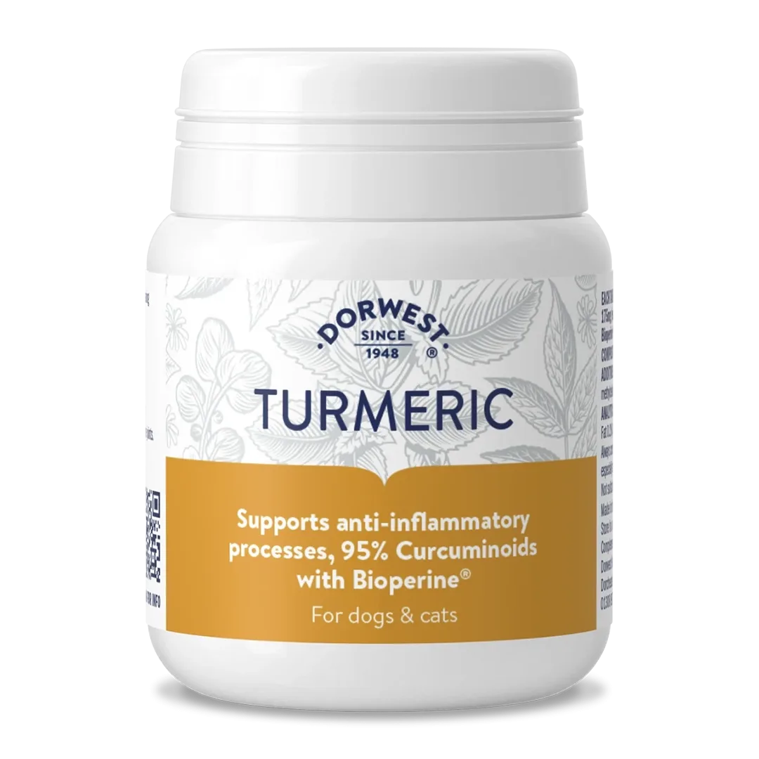 Dorwest Turmeric (Gurkmeja) – Högkvalitativt tillskott för leder och naturlig antiinflammation till hund & katt tabletter