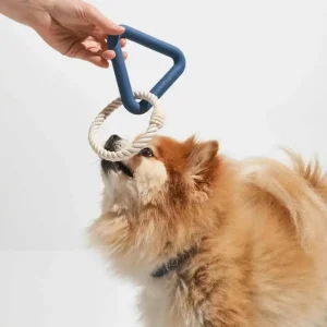 Dragleksak för hund (blå färg)