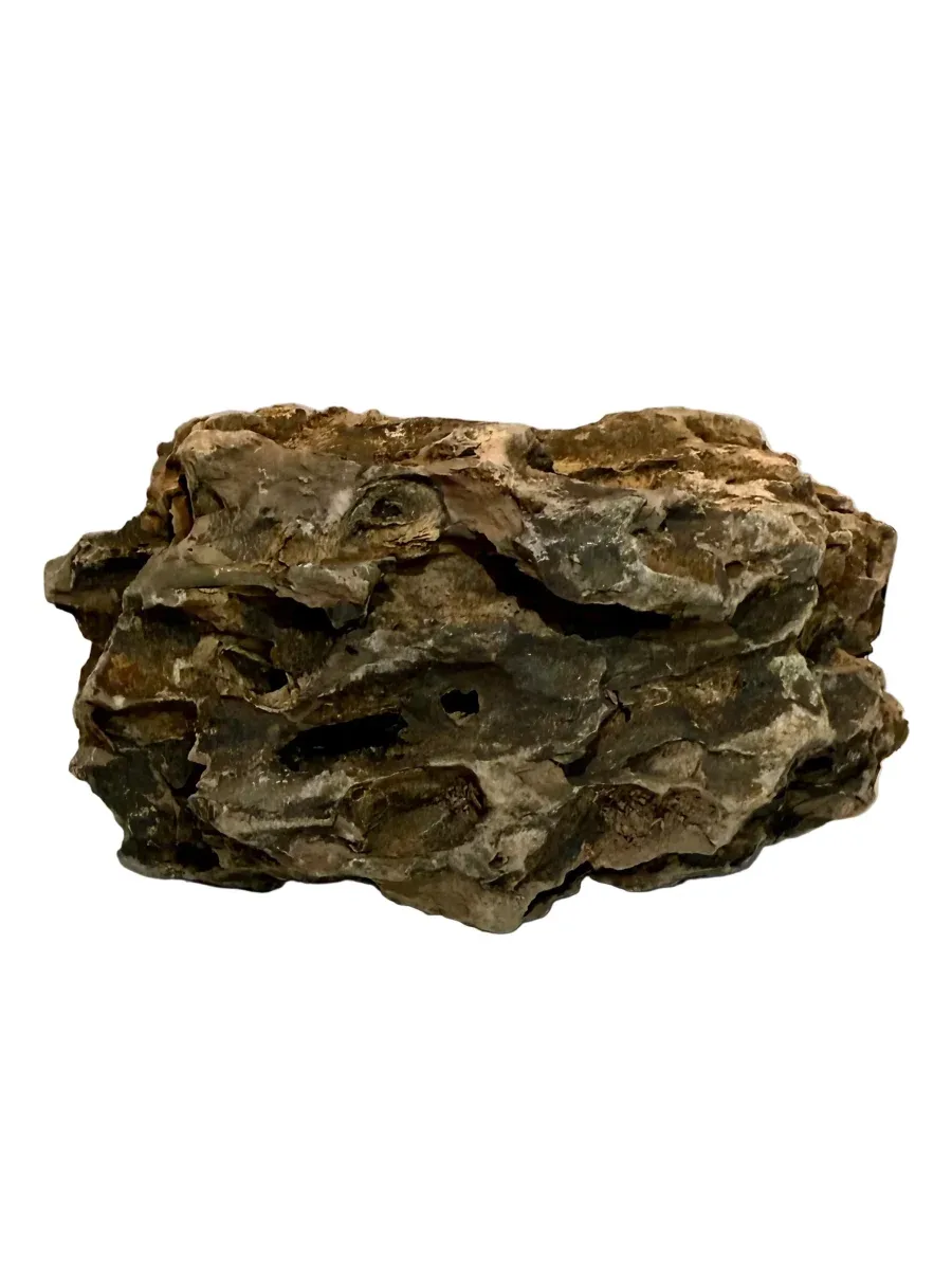Dragon Stone