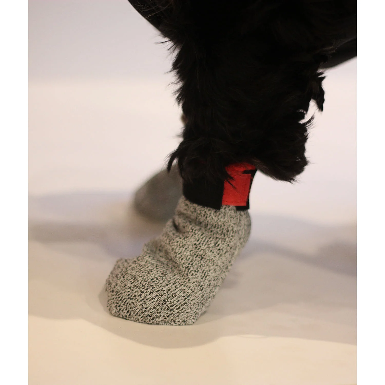 Dragråttan Dragsocka kort 2-pack - Image 2