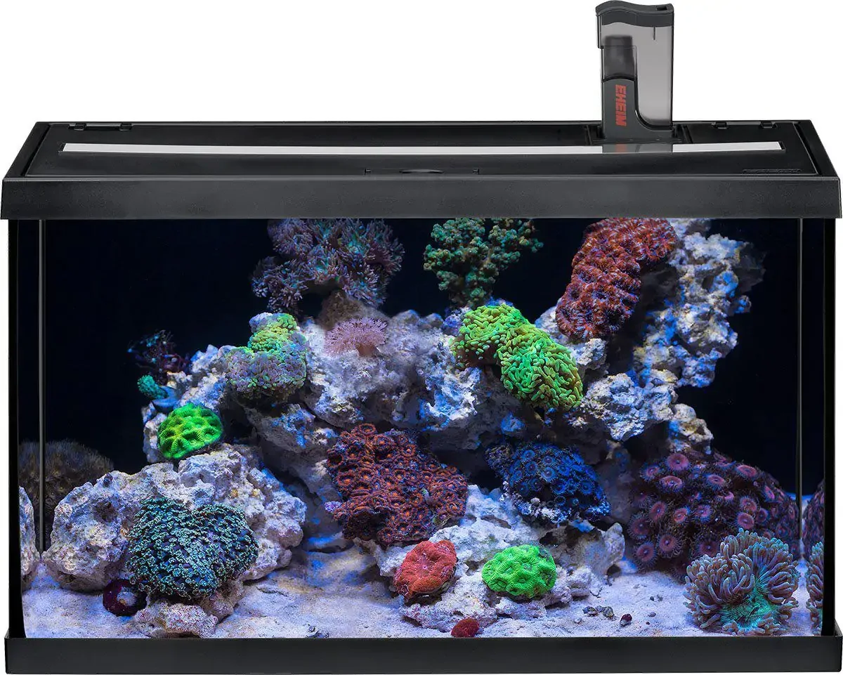 Eheim Aquastar 63L LED Svart Marin 60x30x35cm