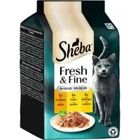 Ekonomipack Sheba Fresh & Fine 72 x 50 g – Kalkon + Kyckling + Fjäderfä i gelé Billig