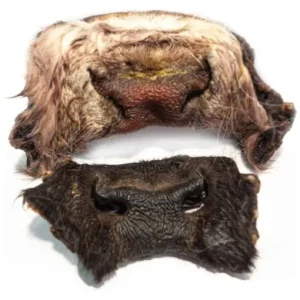 Emmzo oxmule 2-pack