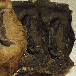 Emmzo Torkad oxmule (1 kg)