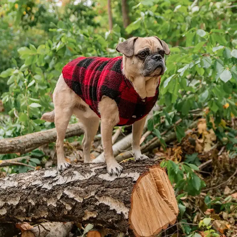 Erbjudande FuzzYard The Lumberjack Hundjacka Röd/Svart