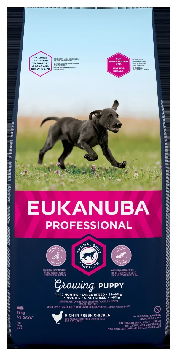 Euk Dog Puppy Large