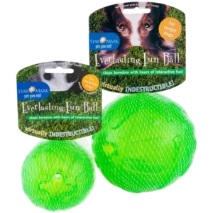 Everlasting Fun Ball
