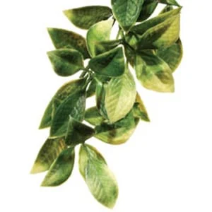 Exo-Terra Mandarin 60 cm