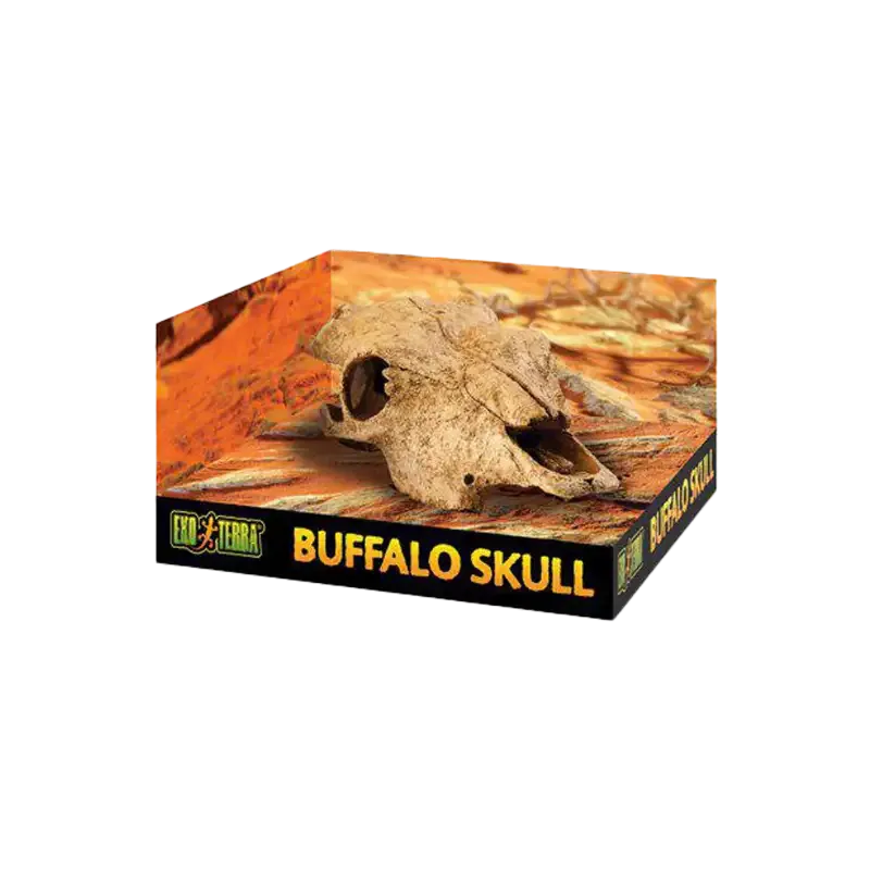 Exoterra Grotta Buffel Kranium