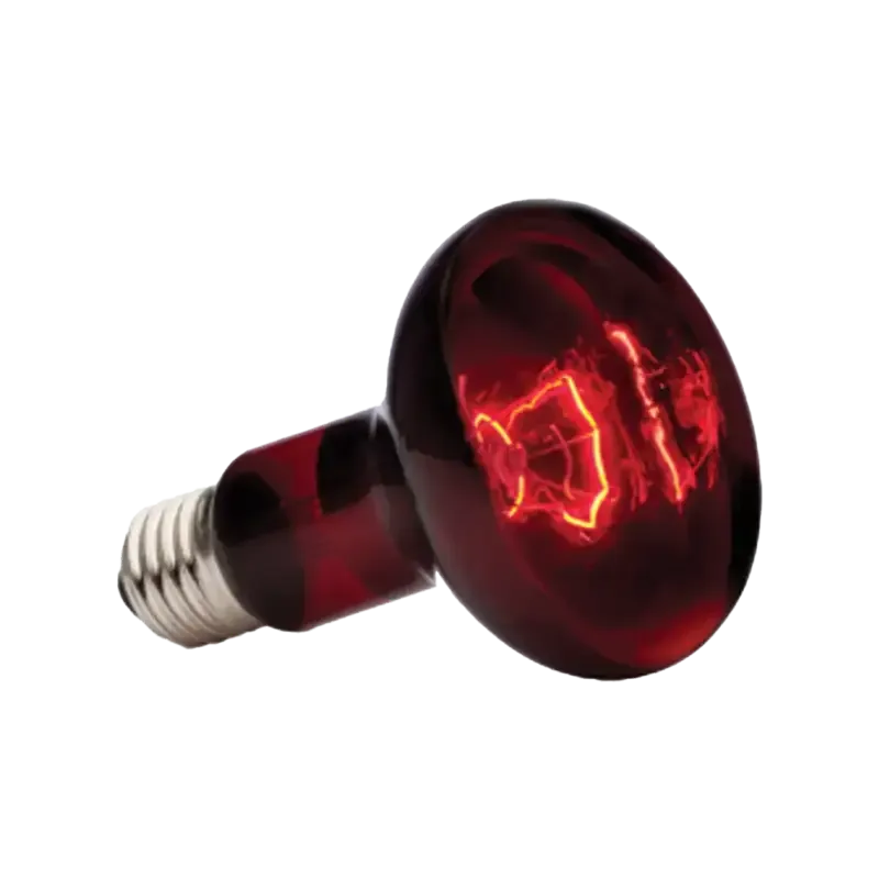 Exoterra Infrared Basking Spot R25 E27 – Röd