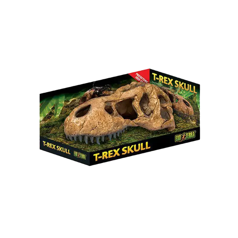 Exoterra T-rex Kranium