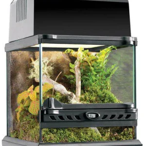 ExoTerra Terrarium 20x20x20cm Nano Wide