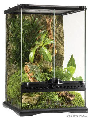 ExoTerra Terrarium 30x30x45cm Mini Tall