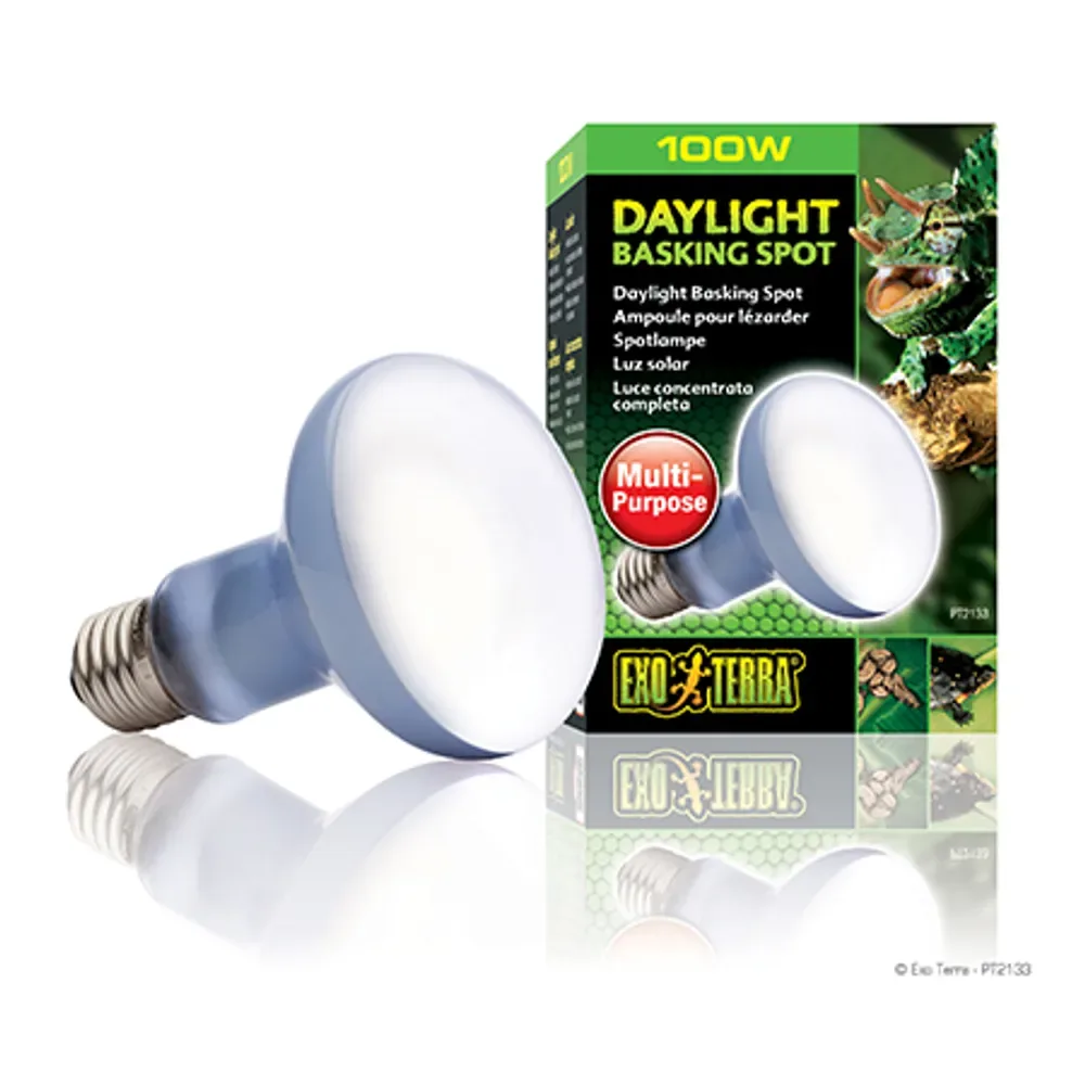 EXT Daylight Basking Spot 100W ”Grön”